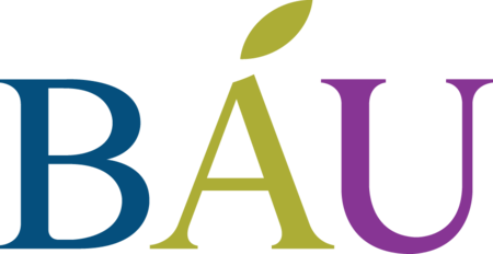 BAU UBI Symbol Logo