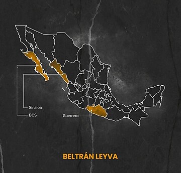 Cártel de los Beltrán Leyva