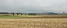 Lange Berge bei Bad Rodach