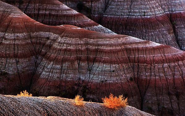 Hills and brush at sunset in Badlands, South Dakota, USA