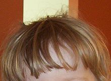 An example of a fringe Bangs.jpg