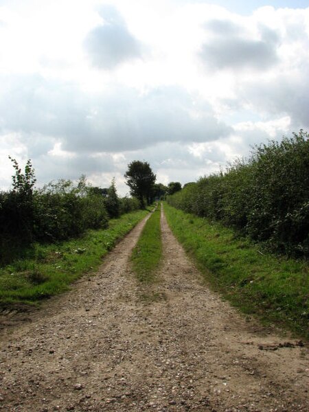 File:Bayse's Lane - geograph.org.uk - 550783.jpg