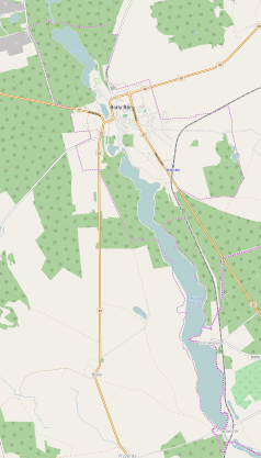 Mapa konturowa Białego Boru, blisko centrum na prawo u góry znajduje się punkt z opisem „Biały Bór przystanek kolejowy”