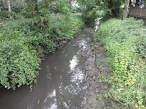 芬肯巴赫河