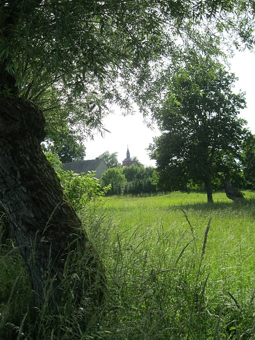 Blick auf Pollitz mit Kirchturm