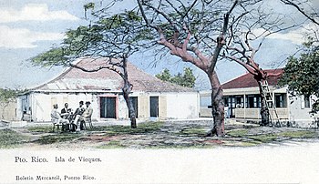 Isla de Vieques postcard (1903) Bol. Mercantil - Isla de Vieques.jpg