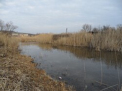 Река в хуторе Большой Лог