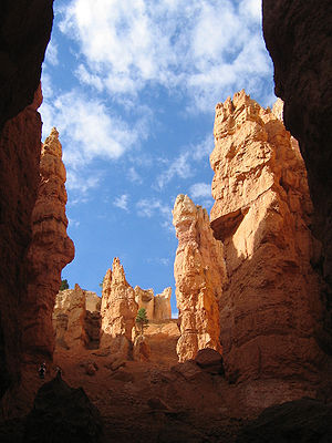 Bryce Canyon Hoodoos from below