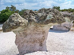 保加利亚石菇（英语：The_Stone_Mushrooms）