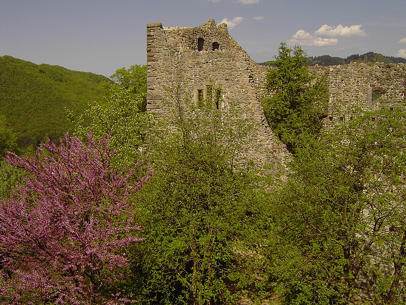 File:Burgruine Badenweiler.jpg