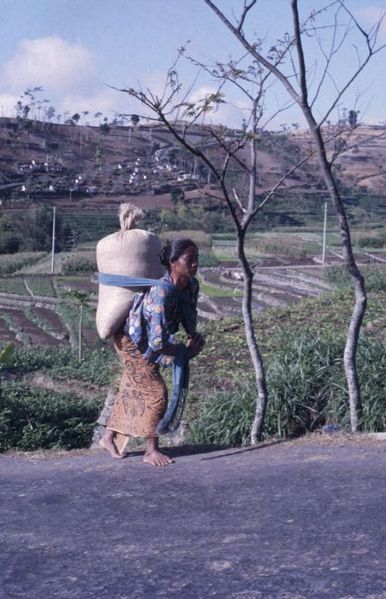 File:COLLECTIE TROPENMUSEUM Vrouw met een zak rijst op haar rug op weg naar de markt TMnr 20017908.jpg