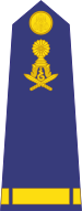 File:Cambodian Gendarmerie OR-09b.svg