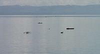 Fishing folks on outrigger canoes on Cancabato Bay, with the San Juanico Strait and Samar island in the background.