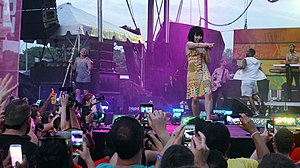 Jepsen performed "I Really Like You" at the Capital Pride in 2015. Capital Pride Festival Concert DC Washington DC USA 57219 (18842151385).jpg