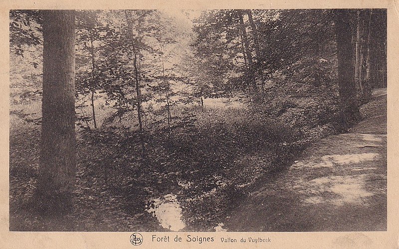 File:Carte postale Vallon de Vuylbeek.jpg