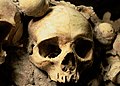 * Nomination Skulls in Catacombes de Paris --Rijinatwiki 13:47, 9 December 2015 (UTC) * Promotion Good quality. --Hubertl 17:02, 9 December 2015 (UTC)