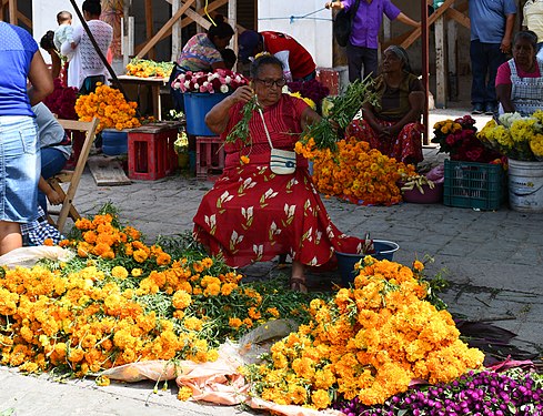 Mexican marigold, called the flor de muertos ("flower of the dead"), at Juchitán de Zaragoza's market (state of Oaxaca, Mexico).