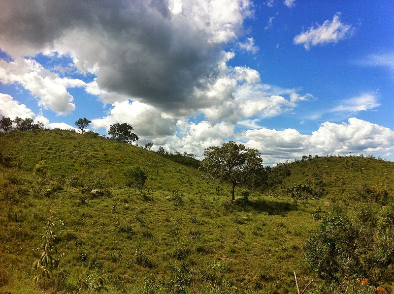 File:Cerrado - panoramio (14).jpg