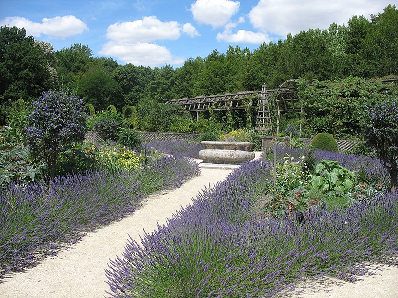 File:Château de Chamerolles - Chilleurs-aux-Bois 08.jpg