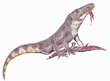 Chasmatosuchus1DB.jpg 