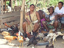 Pepper saleswoman Chicken Vendors in Bafia 1 - Cameroon.jpg