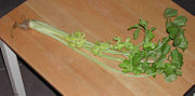 Thumbnail for Leaf celery