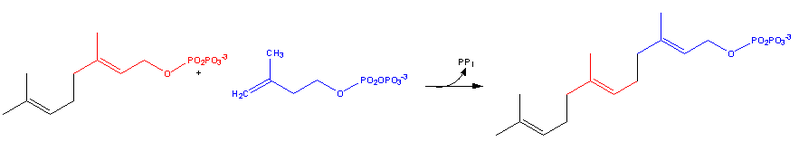 File:Cholesterol-Synthesis-Reaction9.png