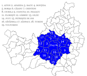 Aire métropolitaine de Cluj-Napoca