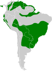 Mapa de distribución de Geothlypis aequinoctialis