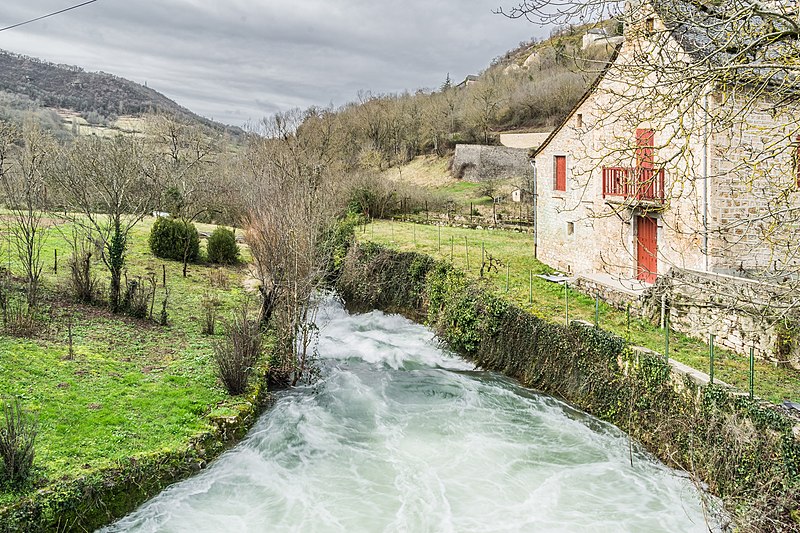 File:Creneau River in Salles-la-Source 08.jpg