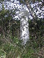 Stone cross at the roadside, Merther Uny at the northern boundary of the civil parish of Gweek, Kerrier District, Cornwall, UK. Explorer map 103 - O.S.Grid ref: SW 70263 29139.