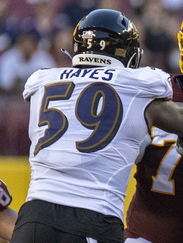 Ann Arbor Skyline's Daelin Hayes makes NFL roster with Baltimore Ravens 