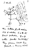 La première esquisse de Darwin d'un arbre phylogénétique tirée de son First Notebook on Transmutation of Species (1837).