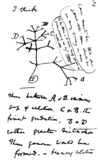 Image 34In mid-July 1837 Charles Darwin started his "B" notebook on the Transmutation of Species, and on page 36 wrote "I think" above his first evolutionary tree. (from History of science)