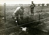 The Wire of Death (Dutch: Dodendraad) was a lethal electric fence created by the German military to control the Dutch-Belgian frontier during the occupation of Belgium during the First World War.