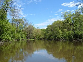 Des Plaines-floden i Lake County i det nordlige Illinois