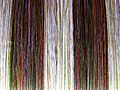 Detail of Silk on Loom - Prey Chung Kran - Near Kampong Cham - Cambodia - 03 (48362668476).jpg