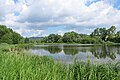 Čeština: Rybník Papež, Dobříš v okrese Příbram English: Pond named Papež in Dobříš, Příbram District