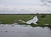 Drain across the Ouse Washes looking SE - geograph.org.uk - 591323.jpg