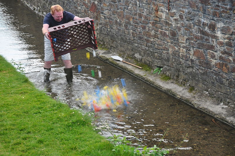 File:Duck race in Perranporth (5890).jpg