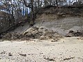 Thumbnail for File:Dune damage at Target Rock National Wildlife Refuge (NY) (8152097024).jpg