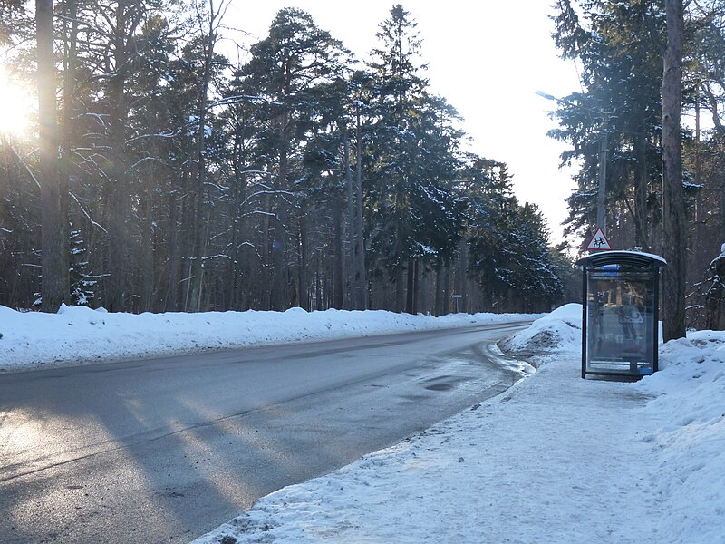 File:EU-EE-Tallinn-Pirita-Kose-Lükati bus stop.JPG