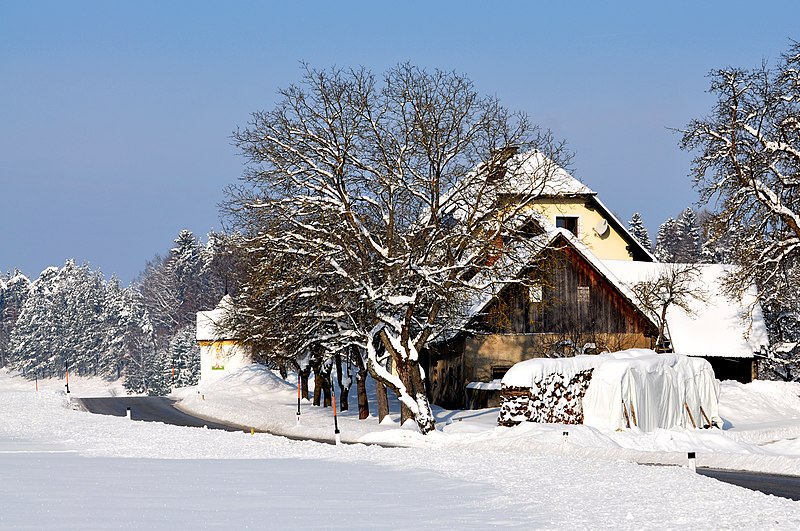 File:Ebenthal Werouzach 1 Gehoeft an der Wegkapelle 13022010 322.jpg