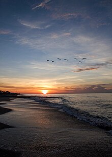 View of the shore at sunrise Edisto Beach, South Carolina (48339141937).jpg