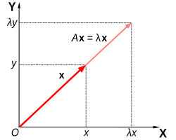 The vector
x
{\displaystyle x}
is an eigenvector of the matrix
A
{\displaystyle A}
. Every operator on a non-trivial complex finite dimensional vector space has an eigenvector, solving the invariant subspace problem for these spaces. Eigenvalue equation.svg