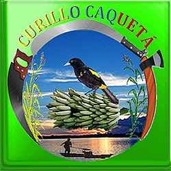 Curillo - Vizualizare