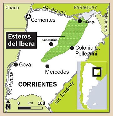 File:Esteros del Ibera.jpg