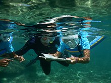 Los alumnos de la escuela Saint-Leu bucean para descubrir las riquezas marinas de su área marina educativa.