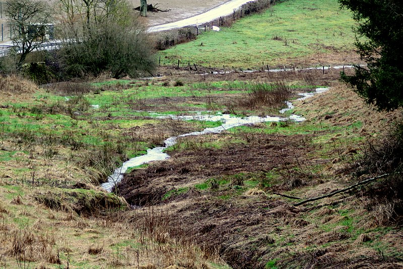 File:Fëschbech Zesummelaf.jpg