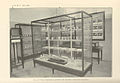 FMIB 37646 View of the fisheries exhibit at the Brazilian Centennial Exposition.jpeg